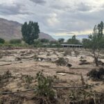 Relevan daños climáticos en uva, olivo y frutales en Zonda