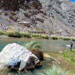 Ambiente presentó los avances de la aplicación del Permiso Digital de Pesca